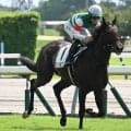【ラジオNIKKEI賞出走馬・騎手確定】ローベルクランツ＆松山弘平騎手、サノノグレーター＆田辺裕信騎手など16頭
