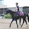 【注目馬動向】マスカレードボールが英最高峰Ｇ１へ向け初時計をマーク　手塚久調教師「爪が伸びて蹄鉄が打てるように」