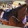 ハイランドリール産駒がJRA初勝利なるか ライーリーアースが初陣だ