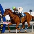 ツリーオブライフが門別ウィナーズチャレンジIIを快勝