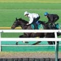 【ＰＯＧ】エフフォーリア産駒のアゴルディーノが２７日の函館・芝１２００メートルで横山和生騎手とのコンビでデビュー
