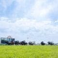 開設130周年の函館競馬場 知るとより楽しめる6つの豆知識