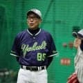 ヤクルト・池山監督　新外国人セデーニョ“起爆剤”期待　同じ一塁オスナと「刺激し合ってほしい」