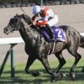 新種牡馬ジャンダルムの産駒が初勝利なるか リエーヴェに注目だ