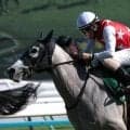 【北九州記念想定馬・騎手】デアヴェローチェ、ヤマニンアルリフラなど12頭