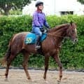 【ＰＯＧ】１・６億円の良血　Ｇ１級２勝を挙げるミッキーファイトの半弟ホウオウシュウは７・２５札幌デビューへ