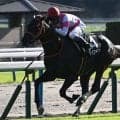 今週の武豊騎手は10鞍 ケイアイセナで函館記念の13年ぶり2勝目なるか