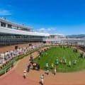 今年開設130周年 あなたの函館競馬の思い出は？