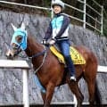 【青函Ｓ・金曜気配】２４年ファンタジーＳ勝ち馬ダンツエラン　滞在競馬で一変あるか！？陣営「今年のなかでは一番いい」
