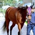 【注目馬動向】ヴィクトリアＭを制したエンブロイダリーはジャックルマロワ賞見送り　シルク・ホースクラブ発表