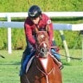 【２７日の注目・青函Ｓ】“二刀流”アメリカンステージが久々に国内で連戦　過去芝２戦はいずれも連対