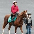 【２７日の注目・函館５Ｒ】ステラトップガンがデビュー　母ステラリードは札幌でデビュー勝ち　洋芝は合う血統