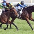 【２７日の注目・小倉９Ｒ八代特別】伯父は日本ダービー馬マカヒキ　秋の飛躍へサヴォアフェールが２勝目つかむか