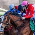 フェアリーS覇者のブラックチャリス 距離短縮で巻き返しだ