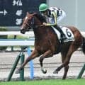 【小倉5R新馬戦結果】シスキン産駒カエリールークスが人気に応えて快勝