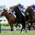【函館5R新馬戦結果】エフフォーリア産駒アゴルディーノが馬群を割ってV