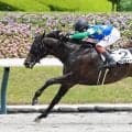 【福島６Ｒ・２歳新馬】元障害名ジョッキーが仕上げたエランヴィータＶ　三浦皇成騎手「馬群でいい競馬もできたと思う」