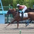 函館で２６年ぶりの衝撃レコード！　マメタンクが１勝クラスで更新　斎藤新騎手「力があるのは分かっていました」