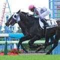 【函館７Ｒ・３歳上１勝クラス】「大外は回さなかった」“レジェンド”武豊騎手がドウアドバンテージで鼻差Ⅴ