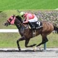 【さくらんぼ特別】「プランＡもＢも逃げ」小崎綾也騎手に導かれアメリカンチケットが６年ぶりにＪＲＡレコード更新