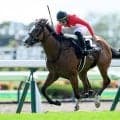 【青函S結果】3歳牝馬ブラックチャリスが接戦を制す