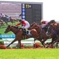 【青函Ｓ】３歳牝馬ブラックチャリスが得意の函館で鼻差の勝利　吉田隼人騎手「馬に助けられました」