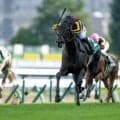 【函館記念予想】重い斤量を背負った馬には鬼門とも言える一戦!? 距離延長や小回りの多頭数競馬もマイナスになりそうな人気馬