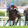 衝撃のレコード圧勝を飾った遅咲き牝馬にネット驚がく「エリ女やろなぁ」「ヤバいタイム」　マリアイリダータが３連勝
