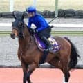 【函館記念・特選有力馬チェック】ファウストラーゼンは買うべき？