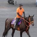 【函館記念・土曜気配】ケイアイセナがディープインパクト産駒のＪＲＡ重賞２９９勝目を狙う　陣営「記録を更新して欲しい」