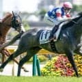 【ラジオNIKKEI賞前日オッズ】リッツパーティーが4.8倍で1番人気
