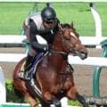 【函館記念】大混戦のハンデ戦は５頭が１０倍以下のオッズ　３勝クラスをレコードＶのイガッチが５・８倍の１番人気