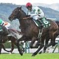 【AI予想・函館記念】近2走はハイレベルなメンバーが相手で参考外！ 高配当の使者として人工知能が重い印を打った古豪とは