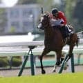 【青函S】ブラックチャリスがハナ差で競り勝つ…人気に応えて快勝