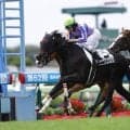 【新馬/函館5R】好調エフフォーリア産駒！アゴルディーノがデビューV…早くも産駒4頭目の勝ち上がり