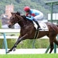【福島５Ｒ・新馬戦】坂井瑠星騎手「調教から期待していました、順当勝ちです」テン良し、中良し、しまい良しのセンス光った　アンムート５馬身差逃げ切り