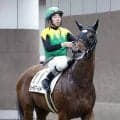 【２８日の注目・函館６Ｒ】シーガルワールドが初勝利へ　兄タイトルホルダー、姉メロディーレーンの良血馬