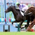 【函館５Ｒ・新馬戦】新種牡馬エフフォーリア産駒早くも４勝目　アゴルディーノ伸びた　ゴール前で見事に差し切り