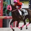 6月28日は「パフェの日」 競馬界にもいた「パフェ」の名を持つかわいい馬たち