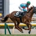 【ラジオNIKKEI賞予想】波乱含みの3歳重賞 ロングスパート性能問われる福島のハンデ戦