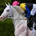 【西部日刊スポーツ杯】半姉はソダシ＆ママコチャ 白毛のカルパが3勝目なるか