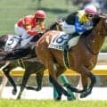 【ラジオNIKKEI賞予想】荒れるレースにも妙味傾向あり!? 過去データで探るラジオNIKKEI賞