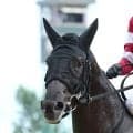 【小倉２Ｒ・３歳未勝利】藤田晋オーナーの２・６億円馬サンダーバードが今村聖奈騎手で初Ｖ「自信を持って乗ろうと」