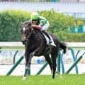 【福島４Ｒ・２歳新馬】ジーティーマイカがレコードタイで圧勝　松山弘平騎手「最後は余裕を持っての７馬身差」