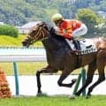 【福島３Ｒ・２歳未勝利】単勝１・１倍オオセイケイがレコードＶ　横山武史騎手「まだ成長の余地を残しているので楽しみ」