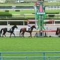 【小倉6R新馬戦結果】アレスバローズ産駒トシミチが逃げ切り勝ち