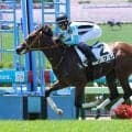 武豊騎手の相棒が凄すぎる！「直線何だアレ」「次走が怖い」初陣で馬なり圧勝したシグレのレースぶりにネット仰天