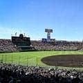 高校野球で止まらぬ減少傾向　地方大会参加は5年前から約160校減…最少は鳥取の21チーム