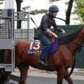 日曜函館競馬場の注目激走馬…函館１１Ｒ函館記念・Ｇ３