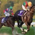 【盛岡・ハヤテスプリント】エイシンリガーズが園田勢初V狙う…遠征馬優勢の一戦、地元勢はジェイエルビットに期待